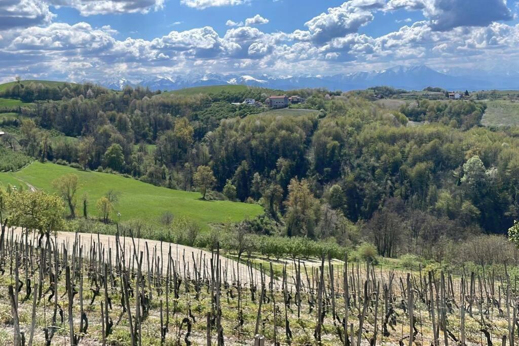 Spicchio Di Langa - Casa Indipendente Tra Le Vigne E Le Alpi Βίλα Belvedere Langhe Εξωτερικό φωτογραφία